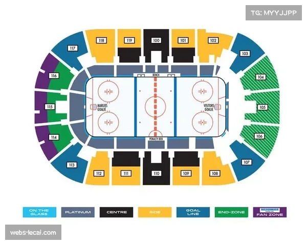 多伦多节奏主场定为可口可乐体育馆，容量约8500人